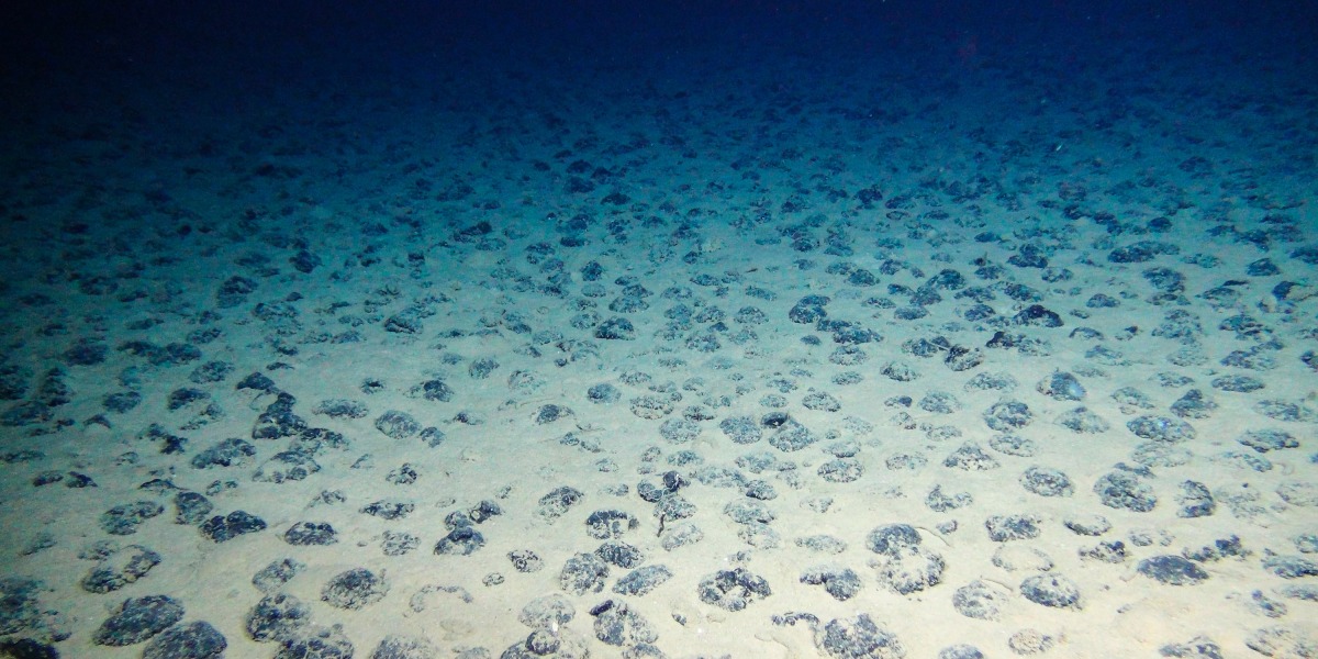 These deep-sea “potatoes” could be the future of mining for renewable energy