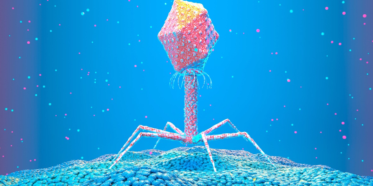 Why tiny viruses could be our best bet against antimicrobial resistance