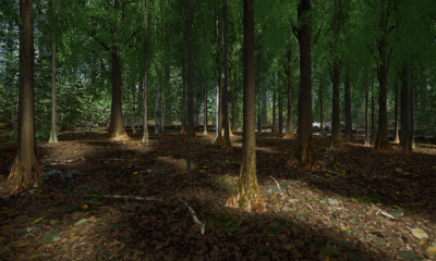 “Forest bathing” might work in virtual reality too