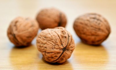 walnuts-552975_1920